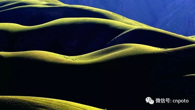 {捕魚機}(春节伊犁旅游)