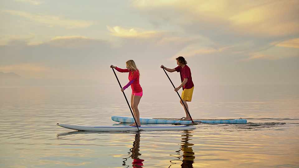 {賭波}(水上运动员)